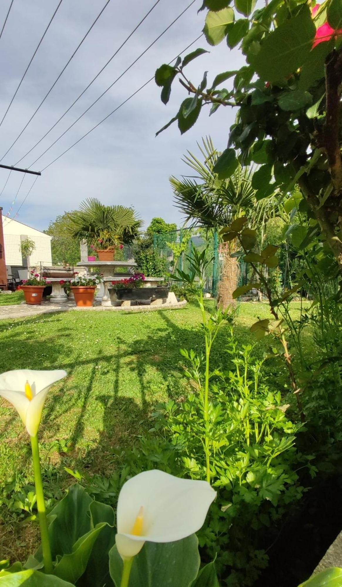 Casa David Ξενοδοχείο Triacastela Εξωτερικό φωτογραφία